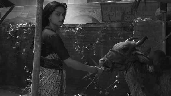 The Seventh Horse of the Sun Poster 2