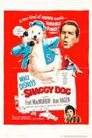 The Shaggy Dog Poster 6