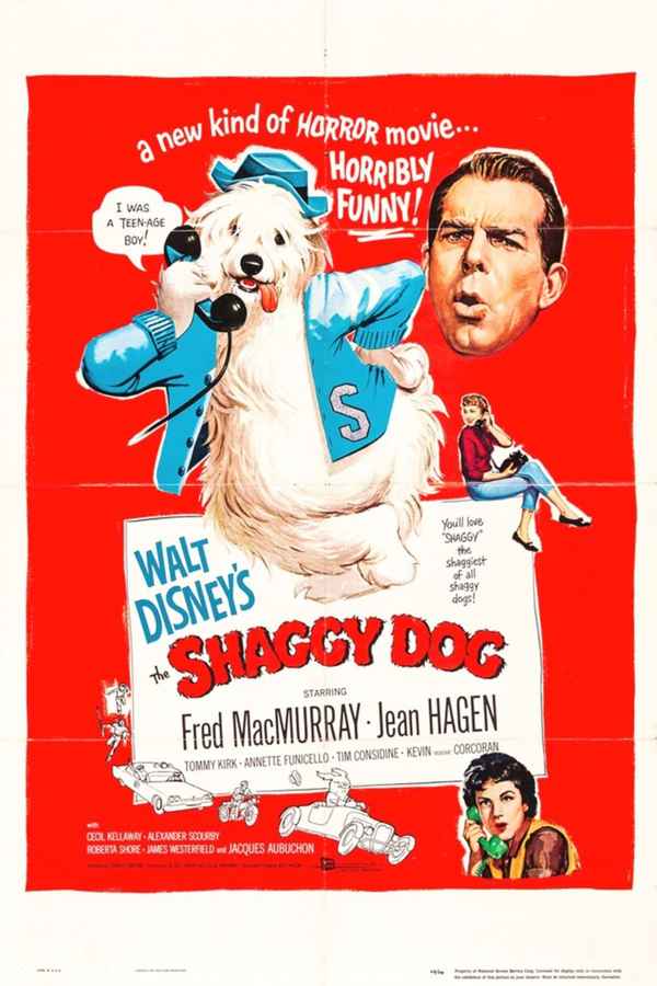 The Shaggy Dog Poster 6