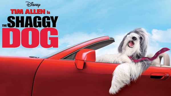 The Shaggy Dog Poster 1