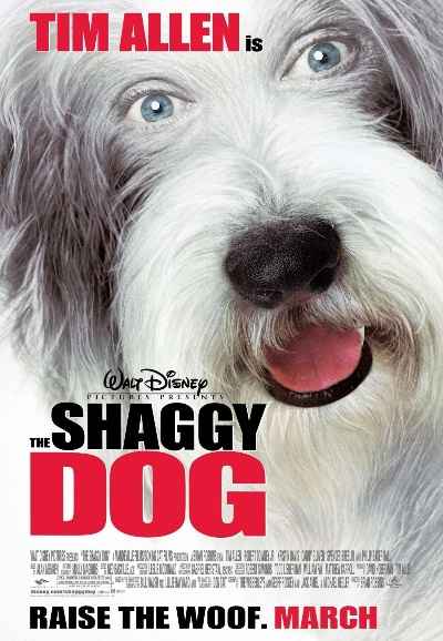 The Shaggy Dog