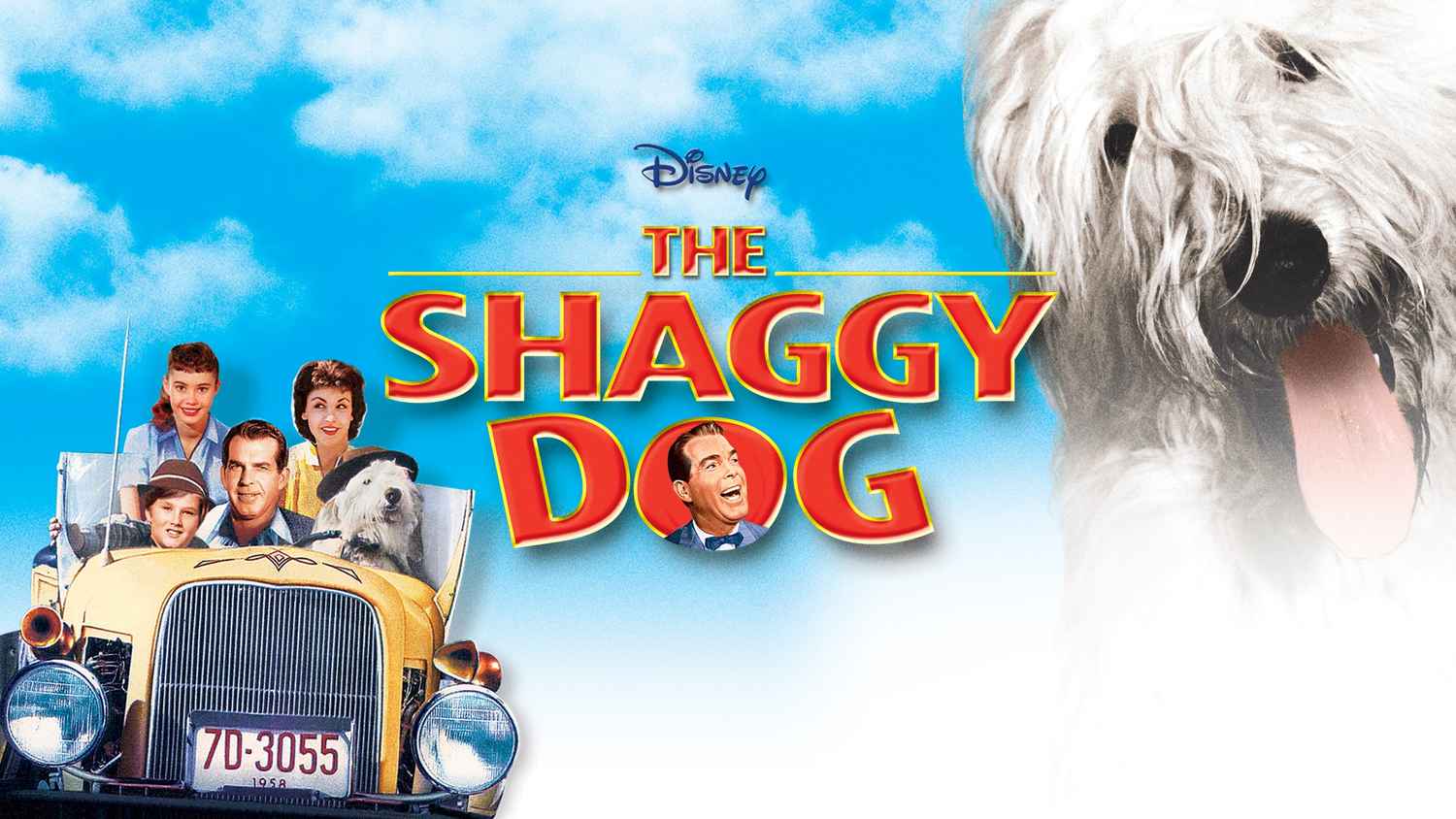 The Shaggy Dog