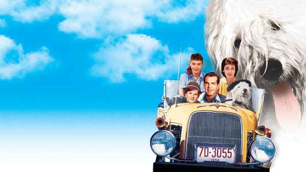 The Shaggy Dog Poster 7