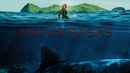 The Shallows Poster 1