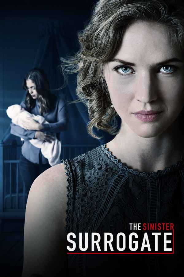 The Sinister Surrogate Poster 4