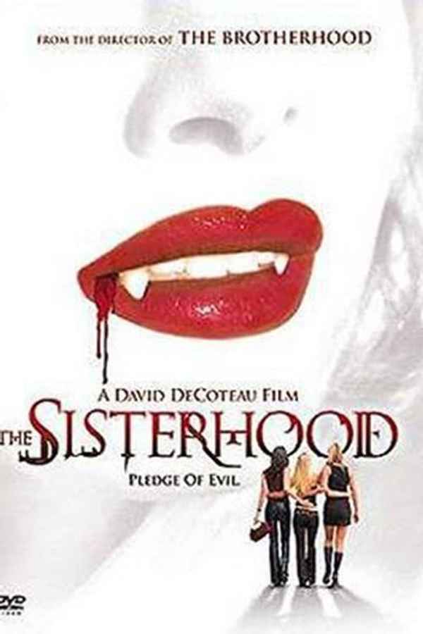 The Sisterhood Poster 4
