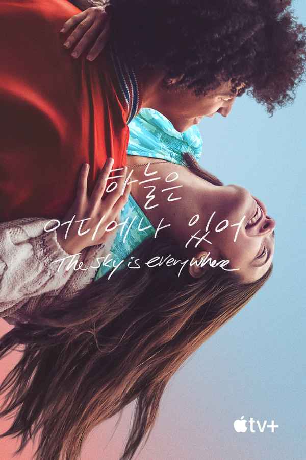 The Sky Is Everywhere Poster 6