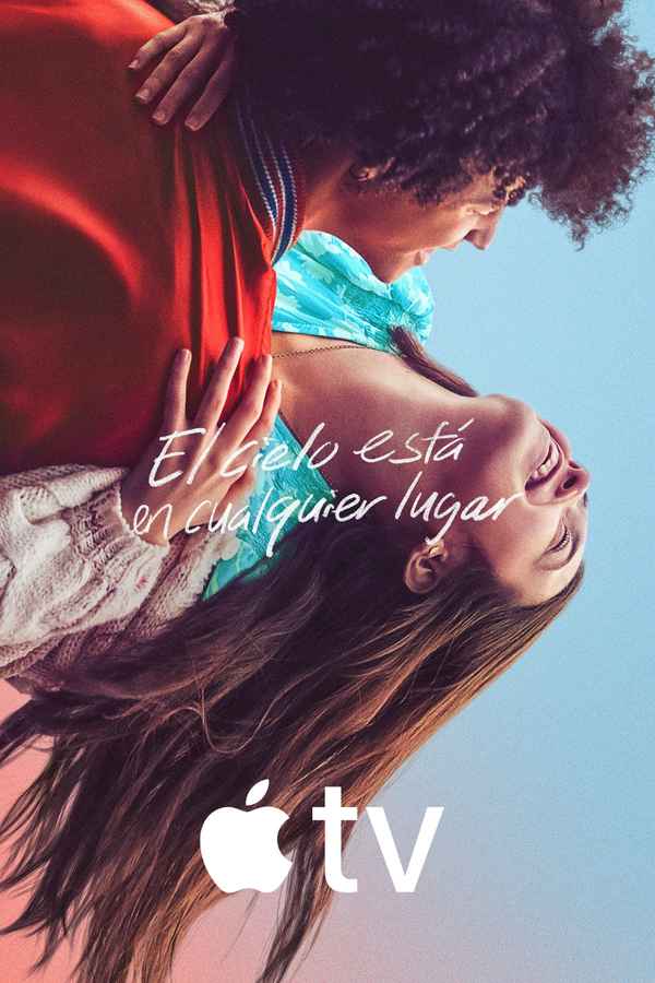 The Sky Is Everywhere Poster 7