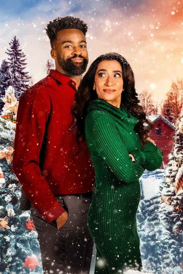 The Snowball Effect Poster 4