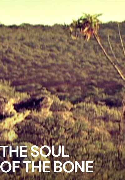 The Soul of the Bone