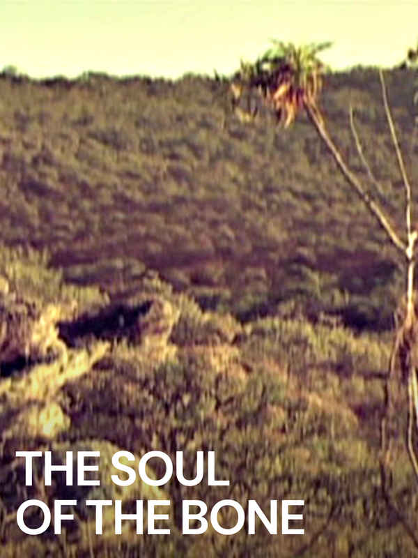 The Soul of the Bone Poster 1