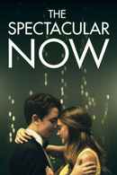 The Spectacular Now Poster 3