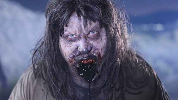 The Stakelander Poster 7