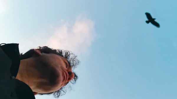 The Story of Looking Poster 3