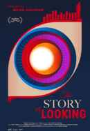 The Story of Looking Poster 7
