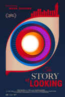 The Story of Looking Poster 6