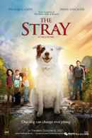 The Stray Poster 4