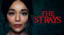 The Strays Poster 6