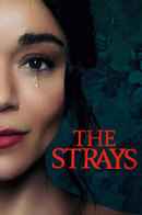 The Strays Poster 4