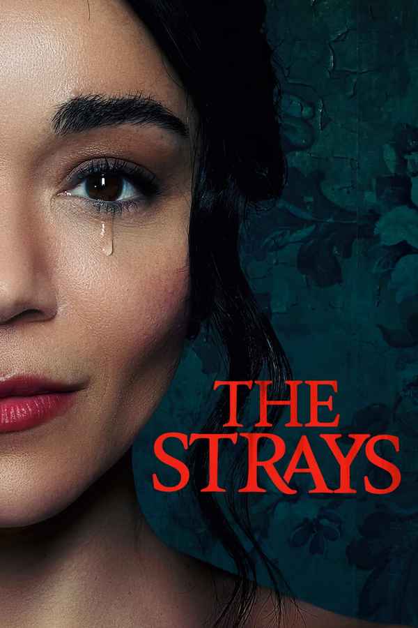The Strays Poster 4