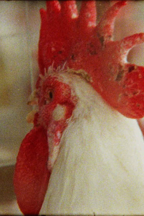 The Sun is Missing Poster 1