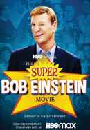 The Super Bob Einstein Movie Poster 5