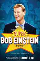 The Super Bob Einstein Movie Poster 4