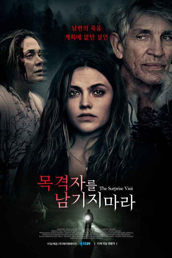 The Surprise Visit Poster 6