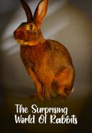 The Surprising World Of Rabbits Poster 3
