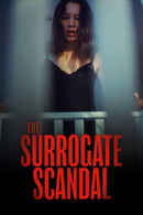 The Surrogate Scandal Poster 5