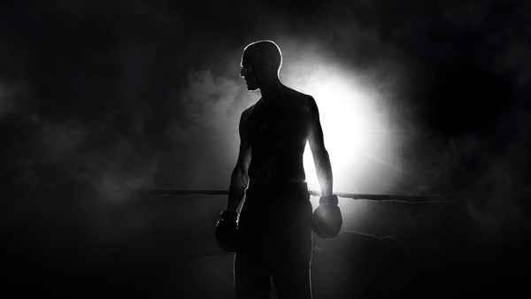 The Survivor Poster 1