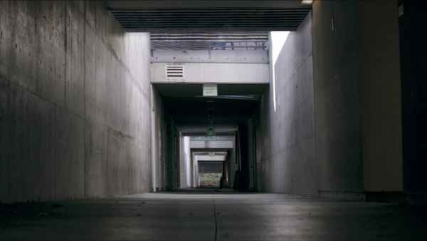 The Thinning Poster 2