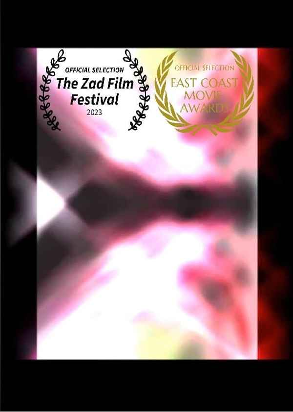 The Transparency Of Fabricated Sanity Poster 4