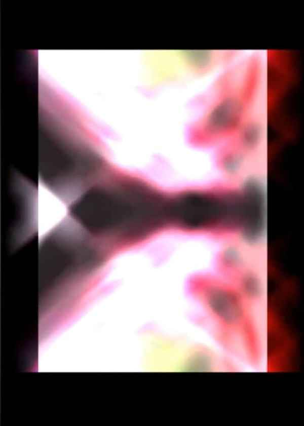 The Transparency Of Fabricated Sanity Poster 5