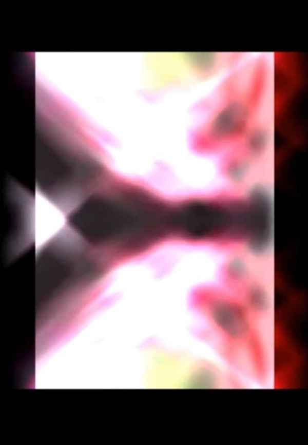 The Transparency Of Fabricated Sanity Poster 7