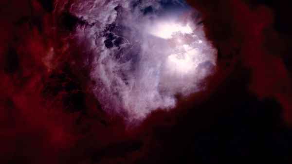 The Tree of Life Poster 6