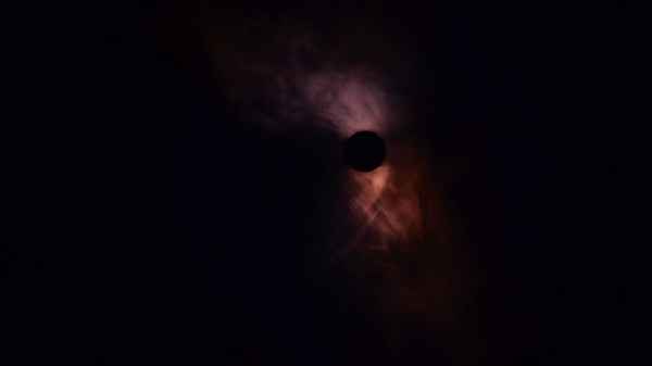 The Tree of Life Poster 3