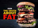 The Truth About Fat Poster 6
