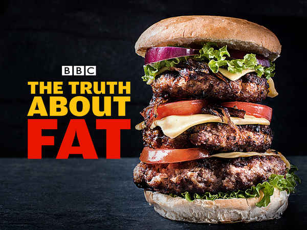 The Truth About Fat Poster 6