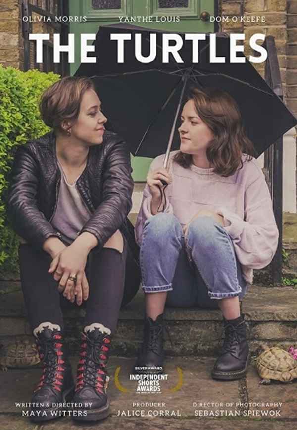 The Turtles Poster 2