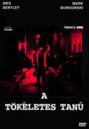 The Ungodly Poster 2