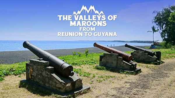 The Valleys Of Maroons From Reunion To Guyana Poster 1