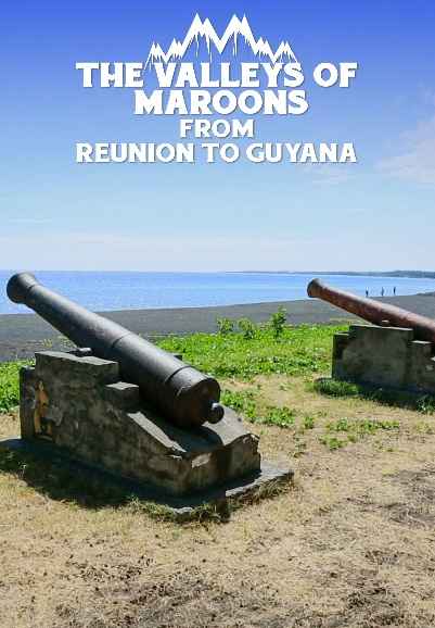 The Valleys Of Maroons From Reunion To Guyana