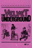The Velvet Underground Poster 7