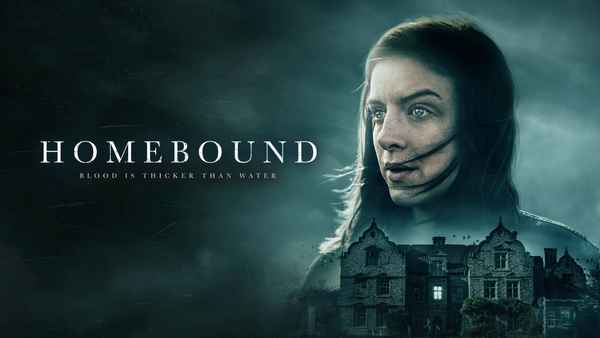 The Visitor Poster 6