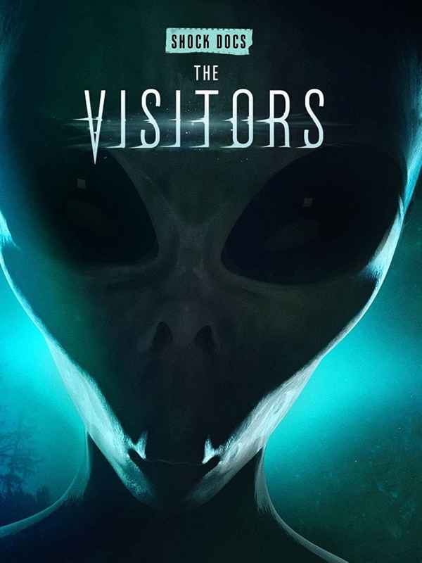 The Visitors Poster 5
