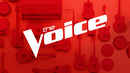 The Voice Poster 4