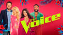 The Voice Poster 3