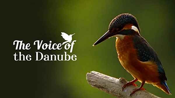 The Voice of the Danube Poster 2