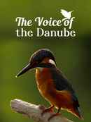 The Voice of the Danube Poster 1